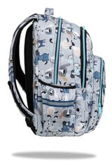 Рюкзак CoolPack Basic Plus 17" Doggy F003694 цена и информация | Школьные рюкзаки, спортивные сумки | kaup24.ee