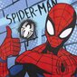 Ratastega seljakott Spiderman цена и информация | Koolikotid, sussikotid | kaup24.ee