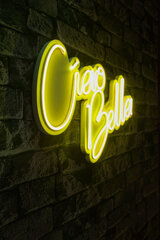 Декоративный настенный светильник Ciao Bella, 1 шт. цена и информация | Детали интерьера | kaup24.ee