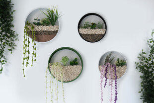 Декорация на стену Plants, 1 шт. цена и информация | Детали интерьера | kaup24.ee