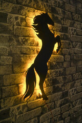 Декоративный настенный светильник Wild Horse, 1 шт. цена и информация | Детали интерьера | kaup24.ee