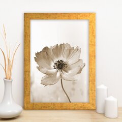 Репродукция Цветок мака цена и информация | Картины, живопись | kaup24.ee