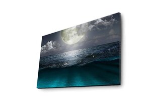 Reproduktsioon Meri 4570DACT-31 цена и информация | Картины, живопись | kaup24.ee