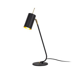 Настольная лампа Opviq Sivani цена и информация | Настольная лампа | kaup24.ee