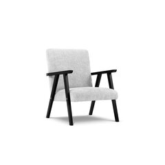 Кресло Browne, 79x59x78 см, светло-серый цена и информация | Кресла в гостиную | kaup24.ee