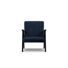 Кресло Browne, 79x59x78 см, синее цена и информация | Кресла в гостиную | kaup24.ee