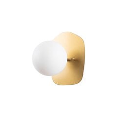 Настенный светильник Opviq Well цена и информация | Настенные светильники | kaup24.ee