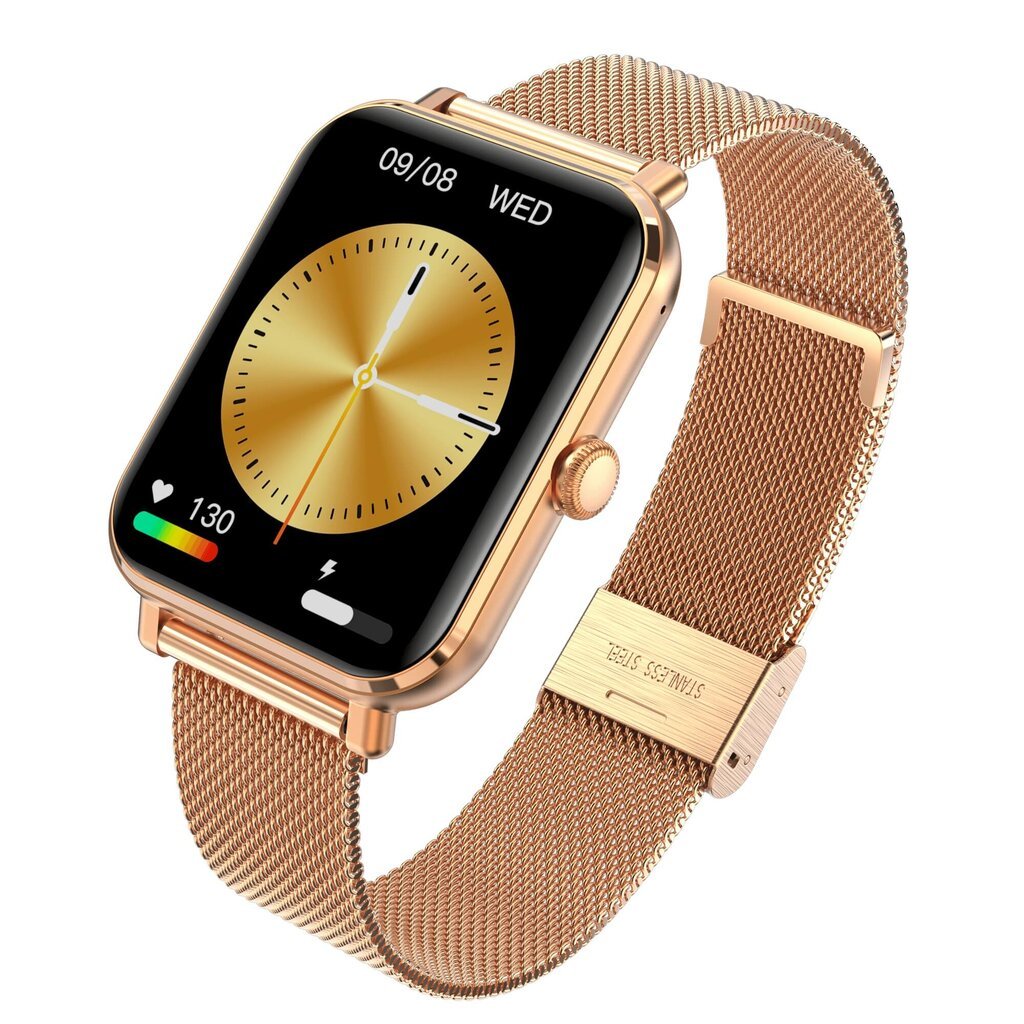 Garett GRC CLASSIC GOLD STEEL hind ja info | Nutikellad (smartwatch) | kaup24.ee