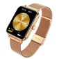 Garett GRC CLASSIC GOLD STEEL hind ja info | Nutikellad (smartwatch) | kaup24.ee