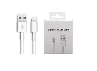 Jashinne Silicon case set 2in1: IP14PM серый чехол и USB-кабель Lightning. цена и информация | Чехлы для телефонов | kaup24.ee