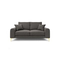 Двухместный диван Larnite, 172x102x90 см, темно-серый цена и информация | Диваны | kaup24.ee