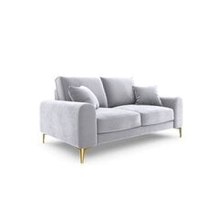 Двухместный диван Velvet Larnite, 172x102x90 см, серый цена и информация | Диваны | kaup24.ee