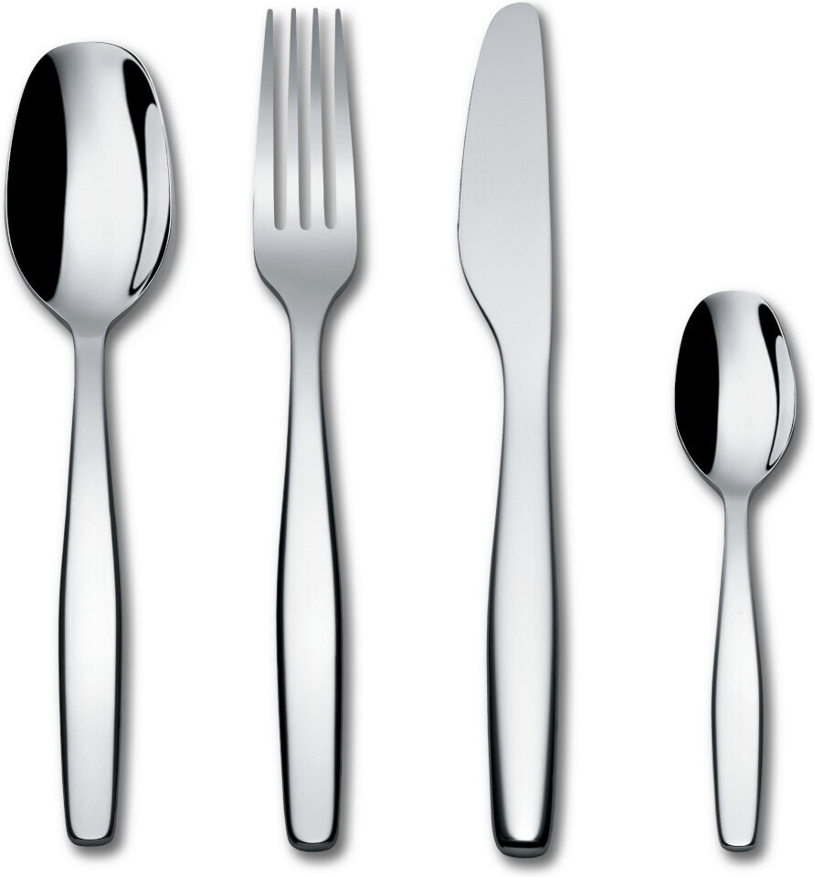 Alessi söögiriistade komplekt, 5 tk. цена и информация | Söögiriistad | kaup24.ee