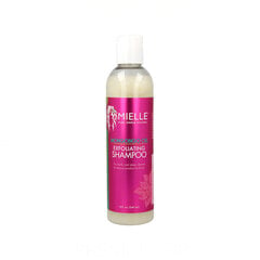 Šampoon Mielle Mongongo Oil (240 ml) hind ja info | Šampoonid | kaup24.ee