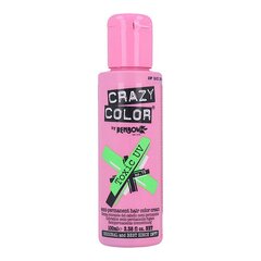 Püsivärv Toxic Crazy Color 002298 Nº 79 (100 ml) hind ja info | Juuksevärvid | kaup24.ee