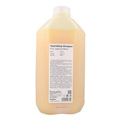 Toitev šampoon Farmavita Nourishing Shampoo N°02 Argan and Honey, 1000ml hind ja info | Šampoonid | kaup24.ee