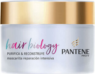 Маска для волос Pantene Pro-V Cleanse & Reconstruct Intensive Repair Mask, 160мл цена и информация | Средства для укрепления волос | kaup24.ee