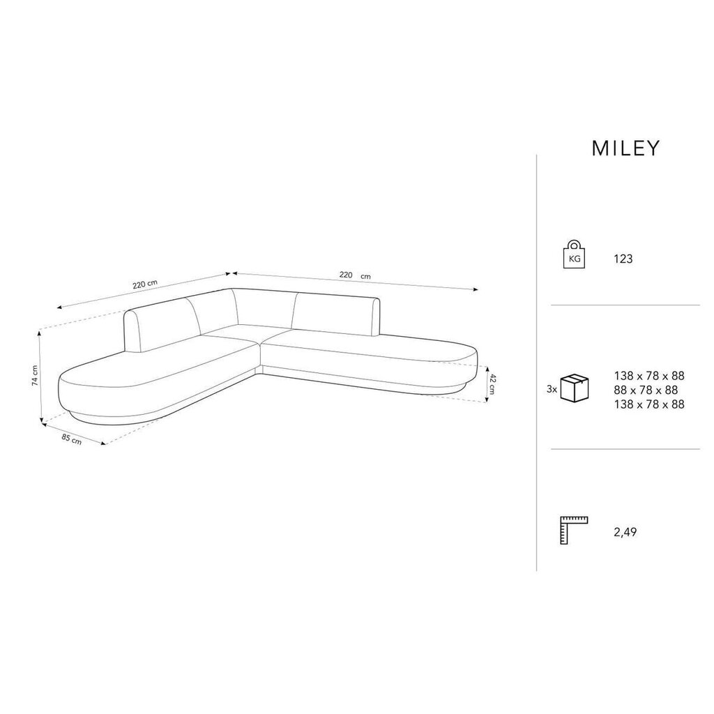 Sametist sümmeetriline nurgadiivan Micadoni Miley, 220 x 220 x 74, roheline hind ja info | Diivanid ja diivanvoodid | kaup24.ee