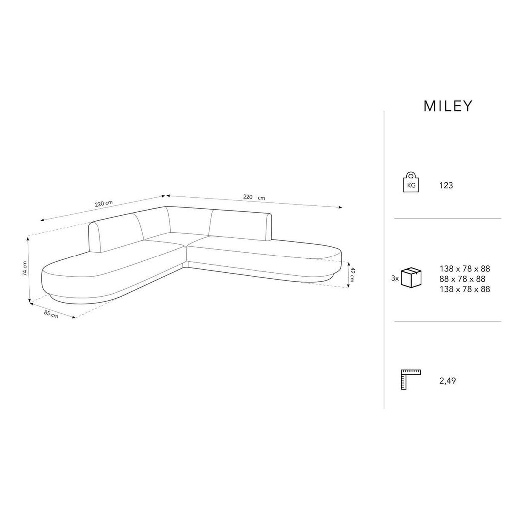 Sametist sümmeetriline nurgadiivan Micadoni Miley, 220 x 220 x 74, hall hind ja info | Diivanid ja diivanvoodid | kaup24.ee