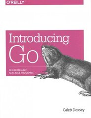 Introducing Go: A Developer Resource hind ja info | Majandusalased raamatud | kaup24.ee