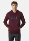 Helly Hansen meeste dressipluus HH LOGO, bordoopunane hind ja info | Meeste pusad | kaup24.ee