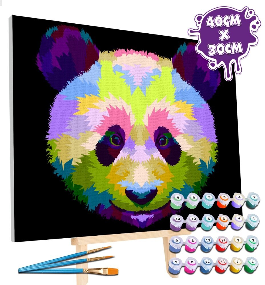 Maal numbrite järgi Panda, Splat Planet, 30x40 cm hind ja info | Maalid numbri järgi | kaup24.ee