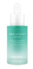 Niisutav seerum Mizon Cicaluronic (30 ml) hind ja info | Näoõlid, seerumid | kaup24.ee