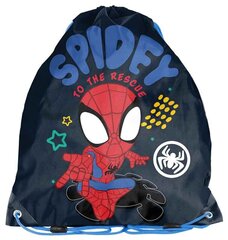 Sussikott Paso Spiderman hind ja info | Koolikotid, sussikotid | kaup24.ee