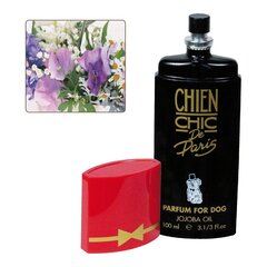 Lemmikloomaparfüüm Chien Chic 100 ml цена и информация | Косметические средства для животных | kaup24.ee