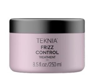 Niisutav juuksemask Lakme Teknia Frizz Control Mask, 250 ml цена и информация | Maskid, õlid, seerumid | kaup24.ee