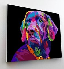 Картина по номерам Собака, Splat Planet, 30х40 см цена и информация | Живопись по номерам | kaup24.ee