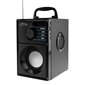 Media-Tech Boombox Silver MT3179 hind ja info | Kõlarid | kaup24.ee