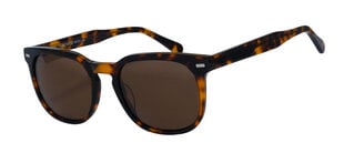 Солнцезащитные очки для мужчин Icone GF 107 C2 54-21, Havana цвета цена и информация | Солнцезащитные очки для мужчин | kaup24.ee