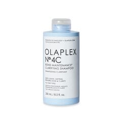 Восстанавливающий шампунь Olaplex Nº4 окрашенные волосы (250 ml) цена и информация | Шампуни | kaup24.ee