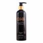 Šampoon Chi Argan Oil Farouk hind ja info | Šampoonid | kaup24.ee