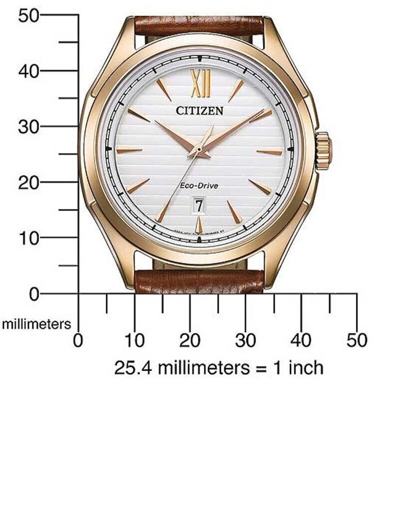 Kell meestele AW175310A hind ja info | Meeste käekellad | kaup24.ee