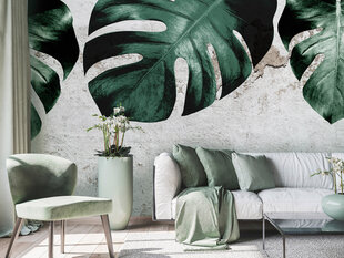 Fototapeet tööriista ja liimiga - Monstera betoonil, 400x280 cm hind ja info | Fototapeedid | kaup24.ee