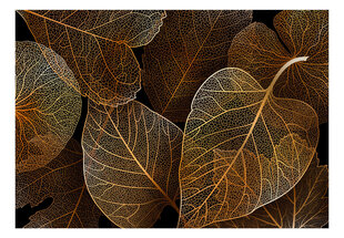 Фотообои с инструментом и клеем - Золотые листья на черном, 400x280 см цена и информация | Фотообои | kaup24.ee