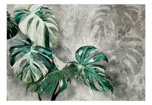 Fototapeet tööriista ja liimiga - Monstera lehed, 400x280 cm hind ja info | Fototapeedid | kaup24.ee