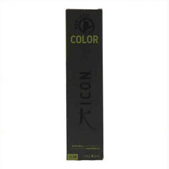 Перманентный крем-краска Color Ecotech Icon 10.0 natural platinum, 60 мл цена и информация | Краска для волос | kaup24.ee