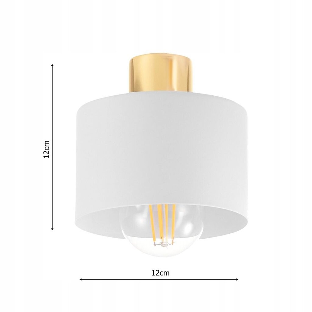 Led-lux laevalgusti цена и информация | Laelambid | kaup24.ee