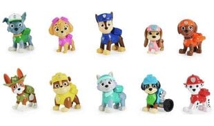 Figuuride komplekt Paw Patrol (Käpapatrull), 6065255 hind ja info | Fännitooted mänguritele | kaup24.ee