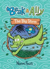 Beak & Ally #3: The Big Storm цена и информация | Книги для подростков и молодежи | kaup24.ee