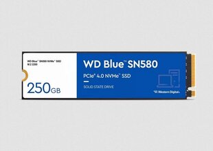 WD Blue SN580 WDS250G3B0E цена и информация | Внутренние жёсткие диски (HDD, SSD, Hybrid) | kaup24.ee