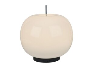 Lauavalgusti Apple MT5070-1A hõbedane (277928) цена и информация | Настольные лампы | kaup24.ee