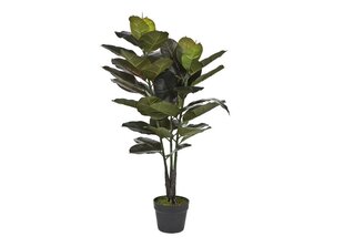 Kunsttaim Ficus 90cm hind ja info | Kunstlilled | kaup24.ee