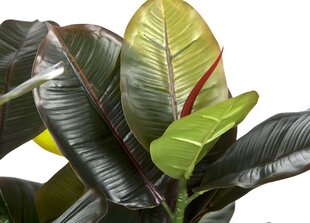 Kunsttaim Ficus 90cm hind ja info | Kunstlilled | kaup24.ee