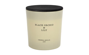 Lõhnaküünal XL Black Orchid&Lily hind ja info | Küünlad, küünlajalad | kaup24.ee