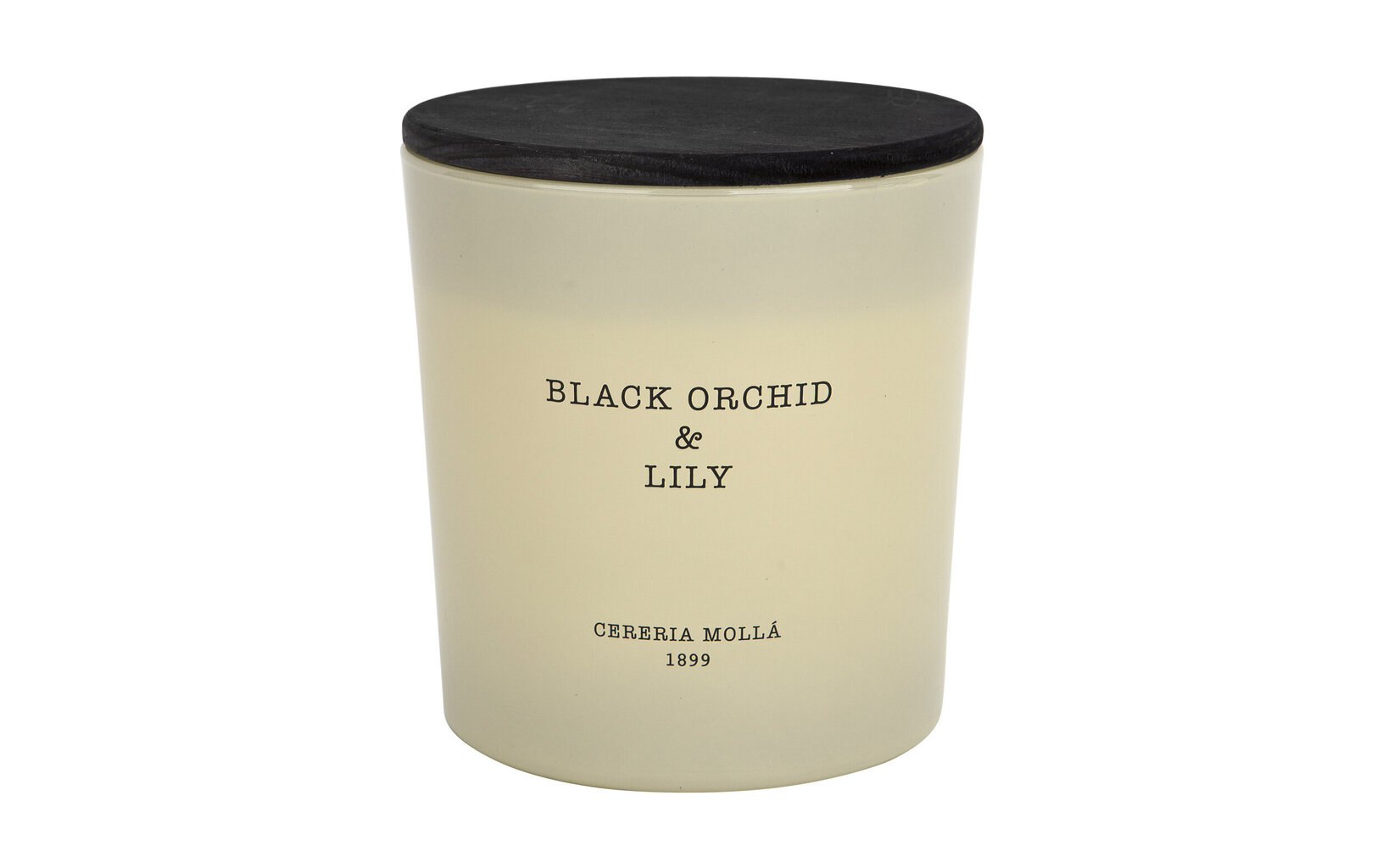 Lõhnaküünal XL Black Orchid&Lily цена и информация | Küünlad, küünlajalad | kaup24.ee
