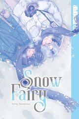 Snow Fairy цена и информация | Фантастика, фэнтези | kaup24.ee